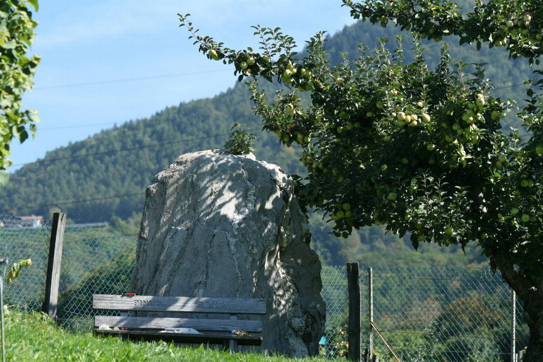 Weingut Zirmerhof Logo